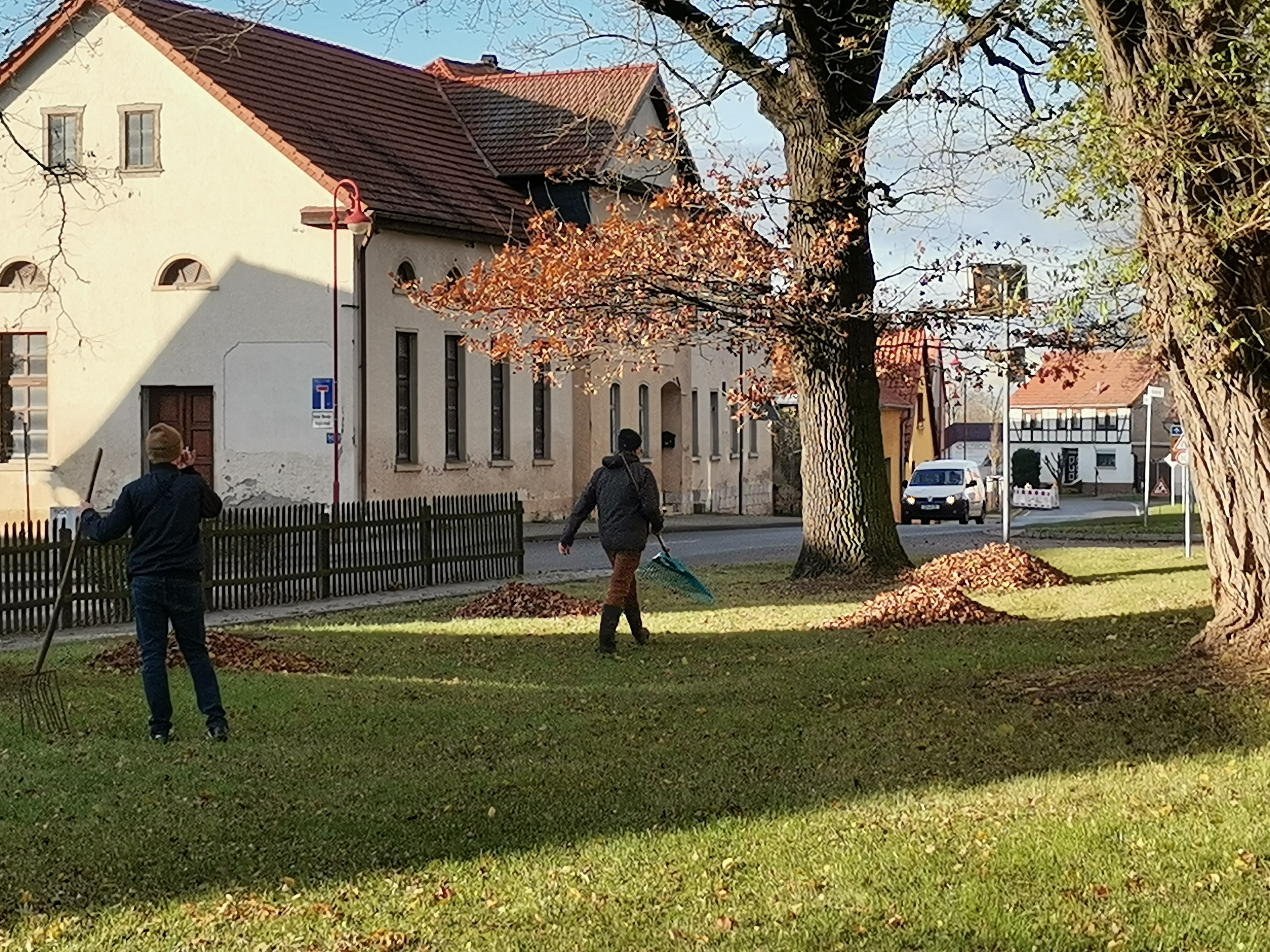 ./Herbstputz2024/IMG_20241123_095120.jpg