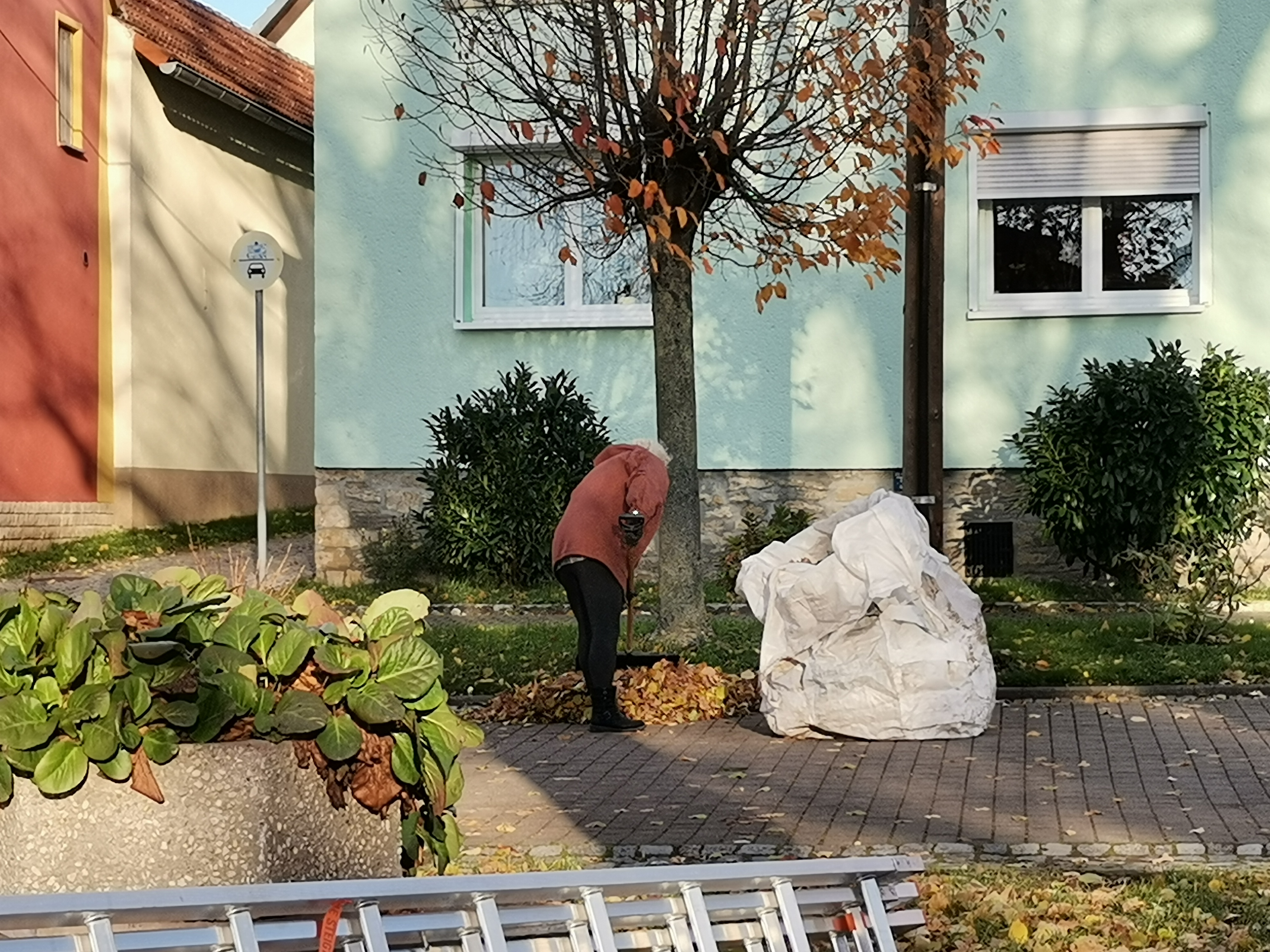 ./Herbstputz2024/IMG_20241123_095145.jpg