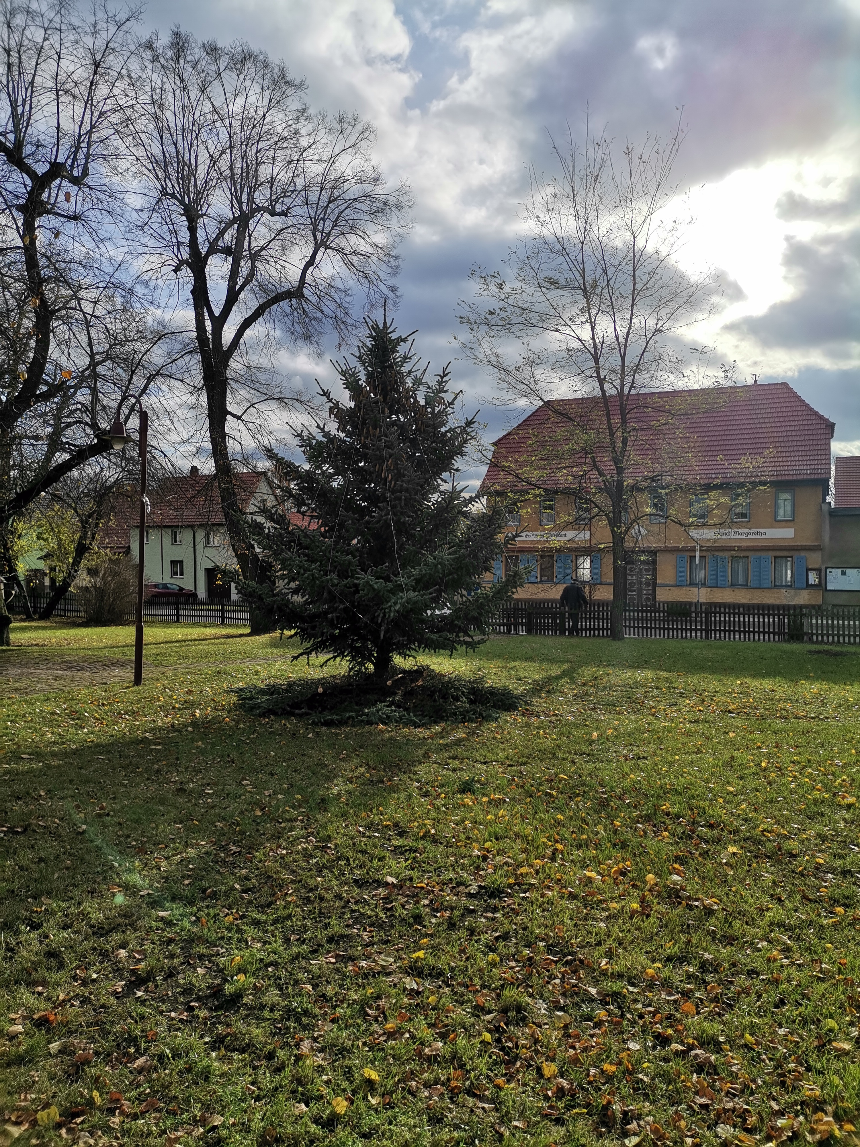 ./Herbstputz2024/IMG_20241123_120034.jpg