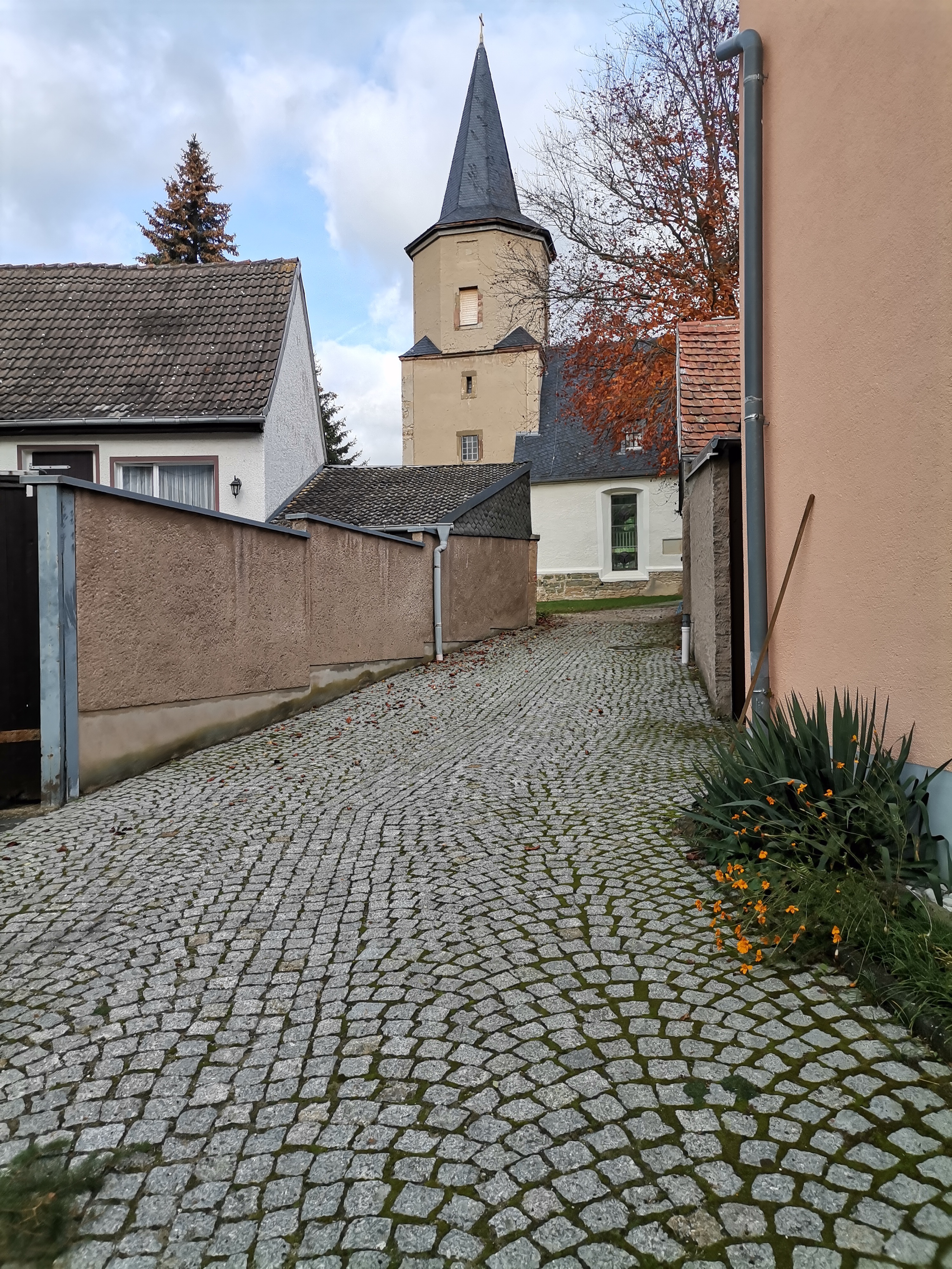 ./Herbstputz2024/IMG_20241123_120915.jpg