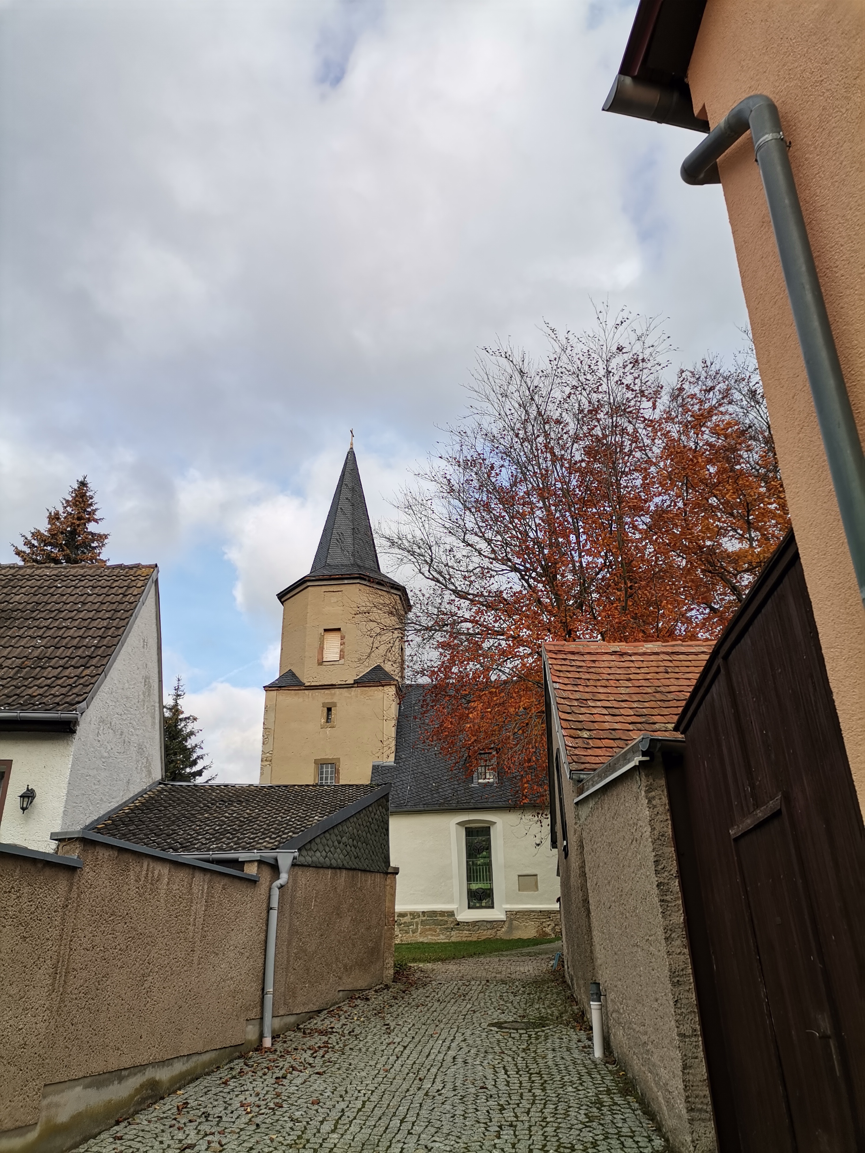 ./Herbstputz2024/IMG_20241123_120920.jpg