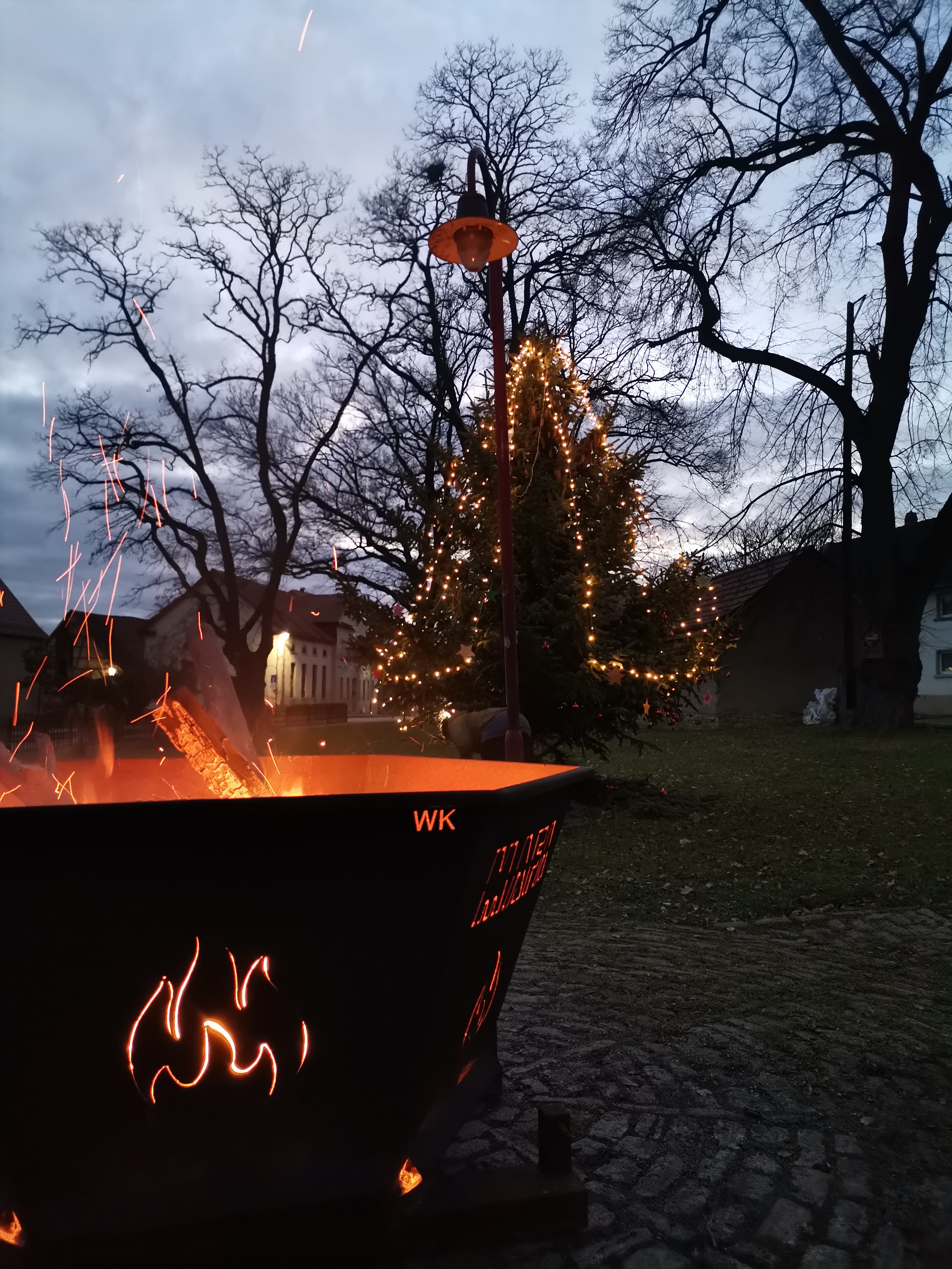 ./Weihnachtsbaumsetzen/IMG_20241129_164044.jpg