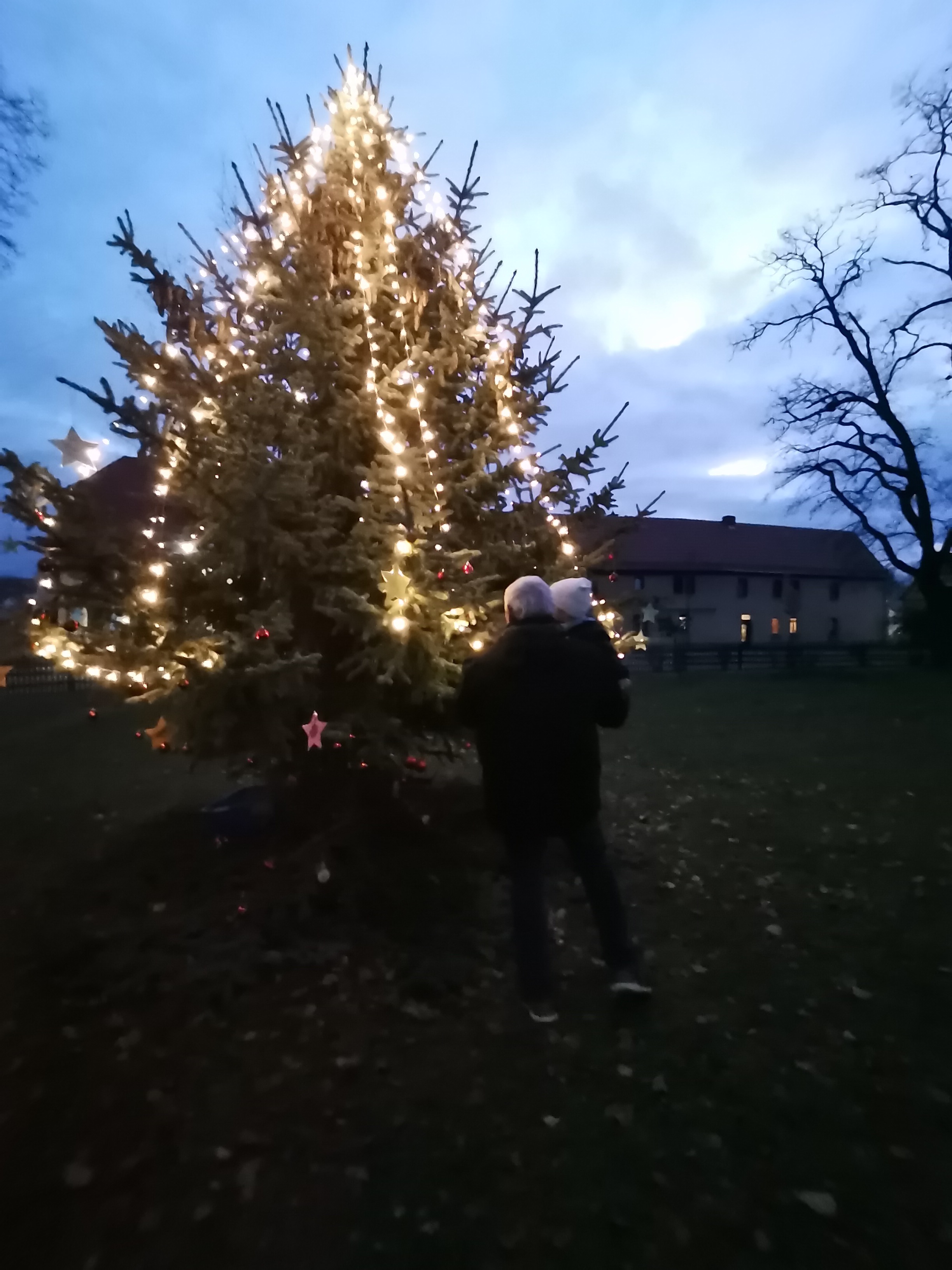 ./Weihnachtsbaumsetzen/IMG_20241129_164653.jpg