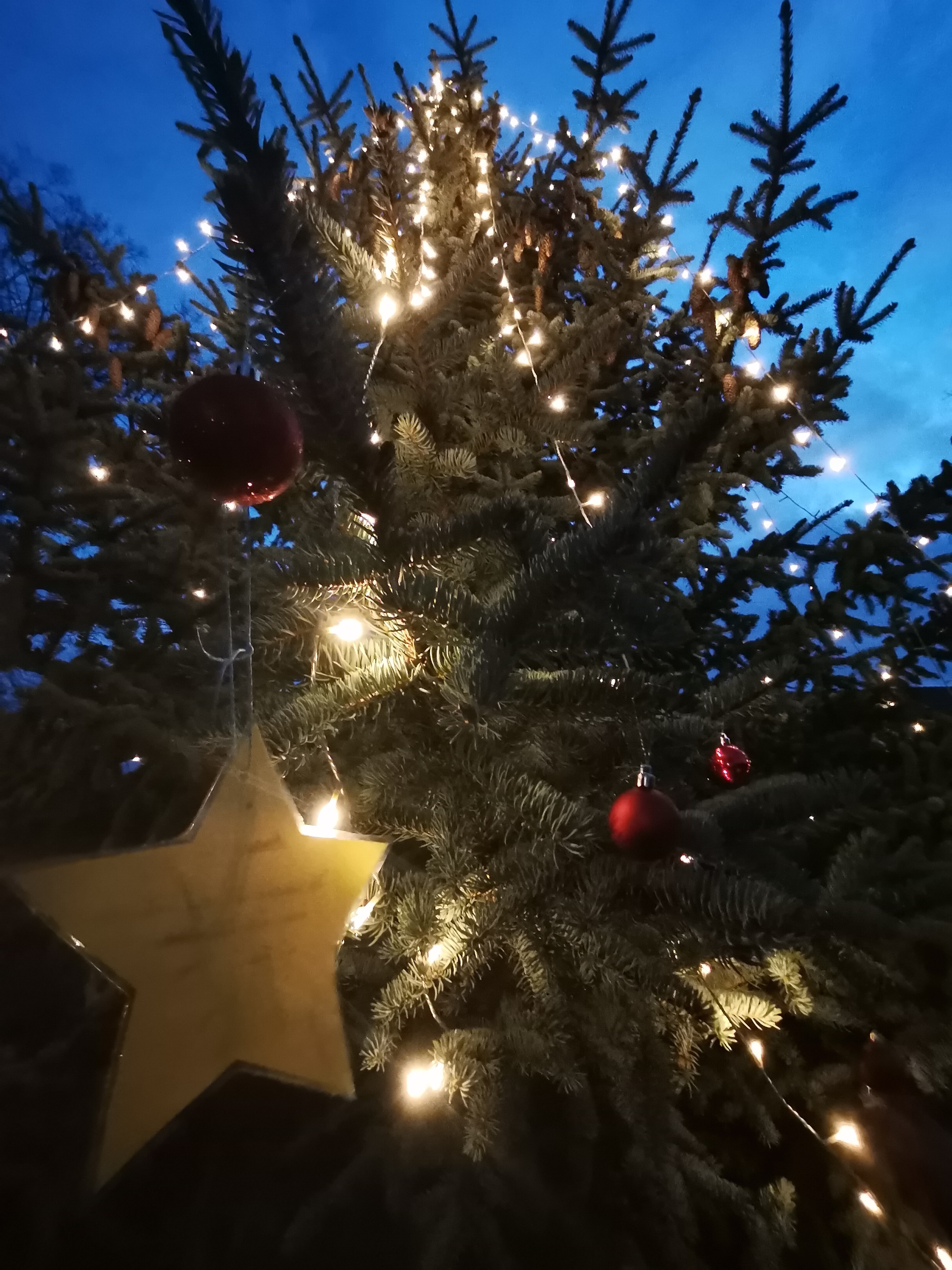 ./Weihnachtsbaumsetzen/IMG_20241129_164726_1.jpg