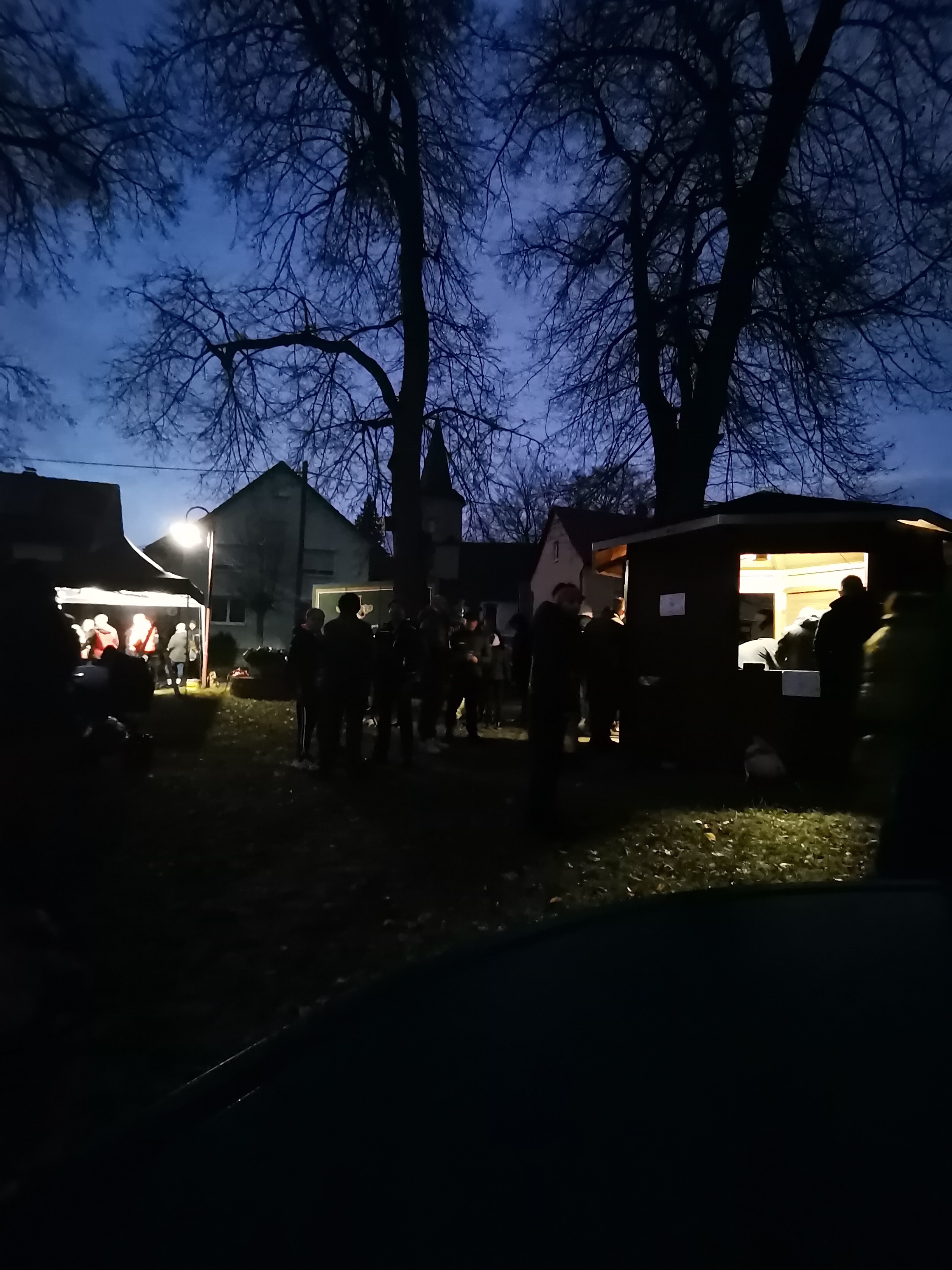./Weihnachtsbaumsetzen/IMG_20241129_165222.jpg