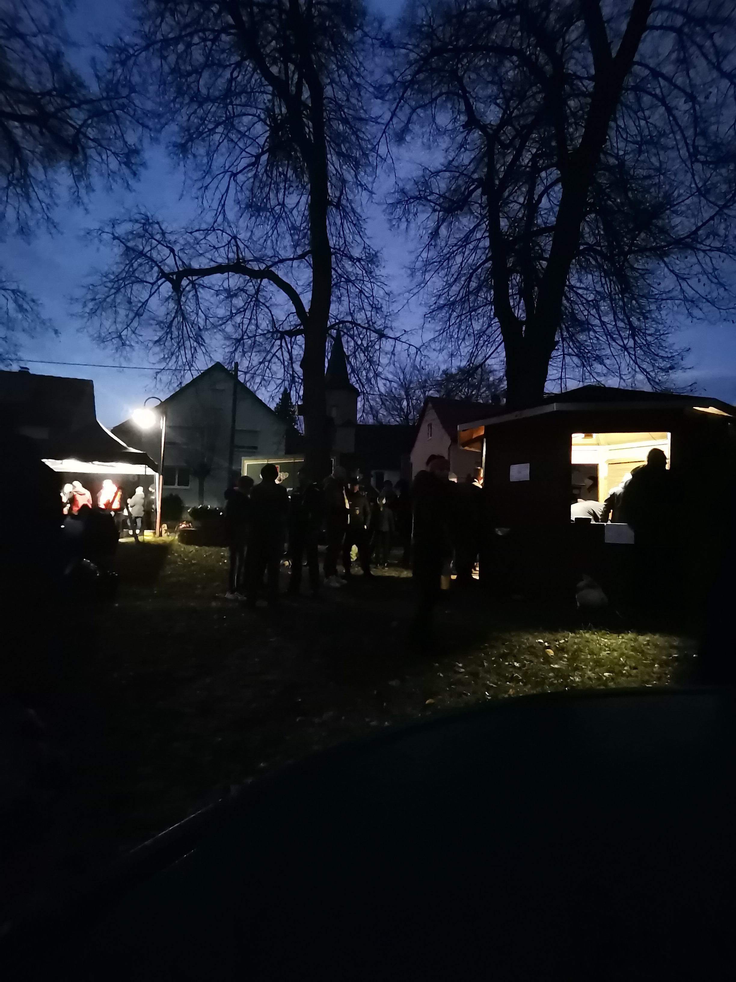 ./Weihnachtsbaumsetzen/IMG_20241129_165224.jpg