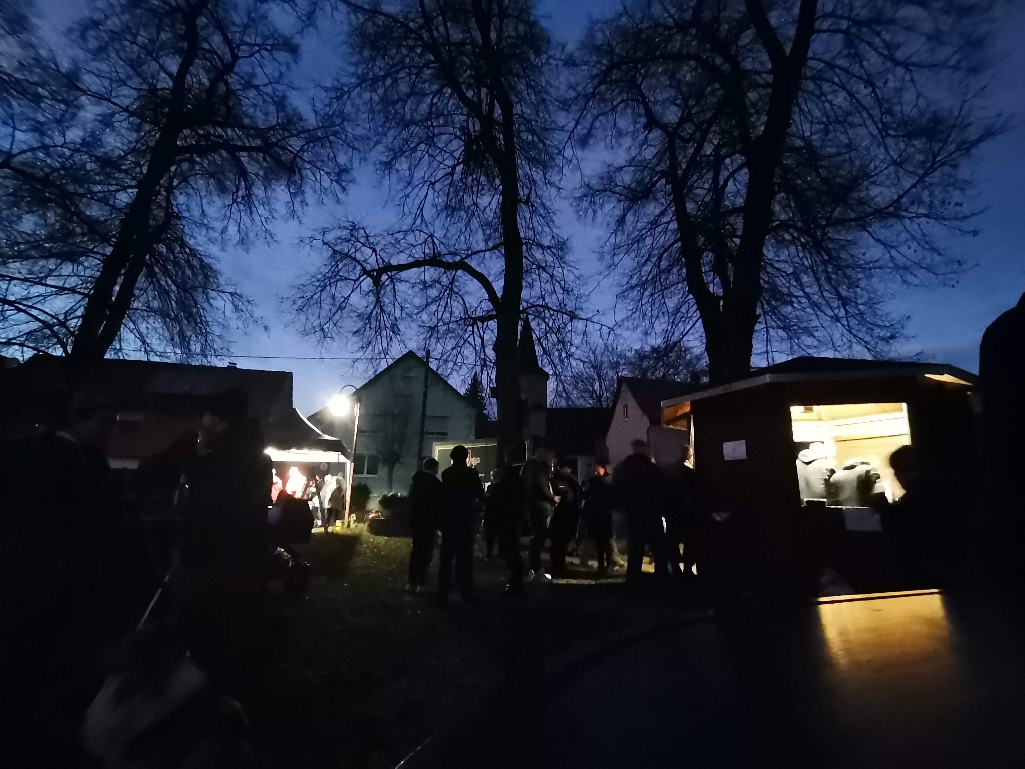 ./Weihnachtsbaumsetzen/IMG_20241129_165243.jpg