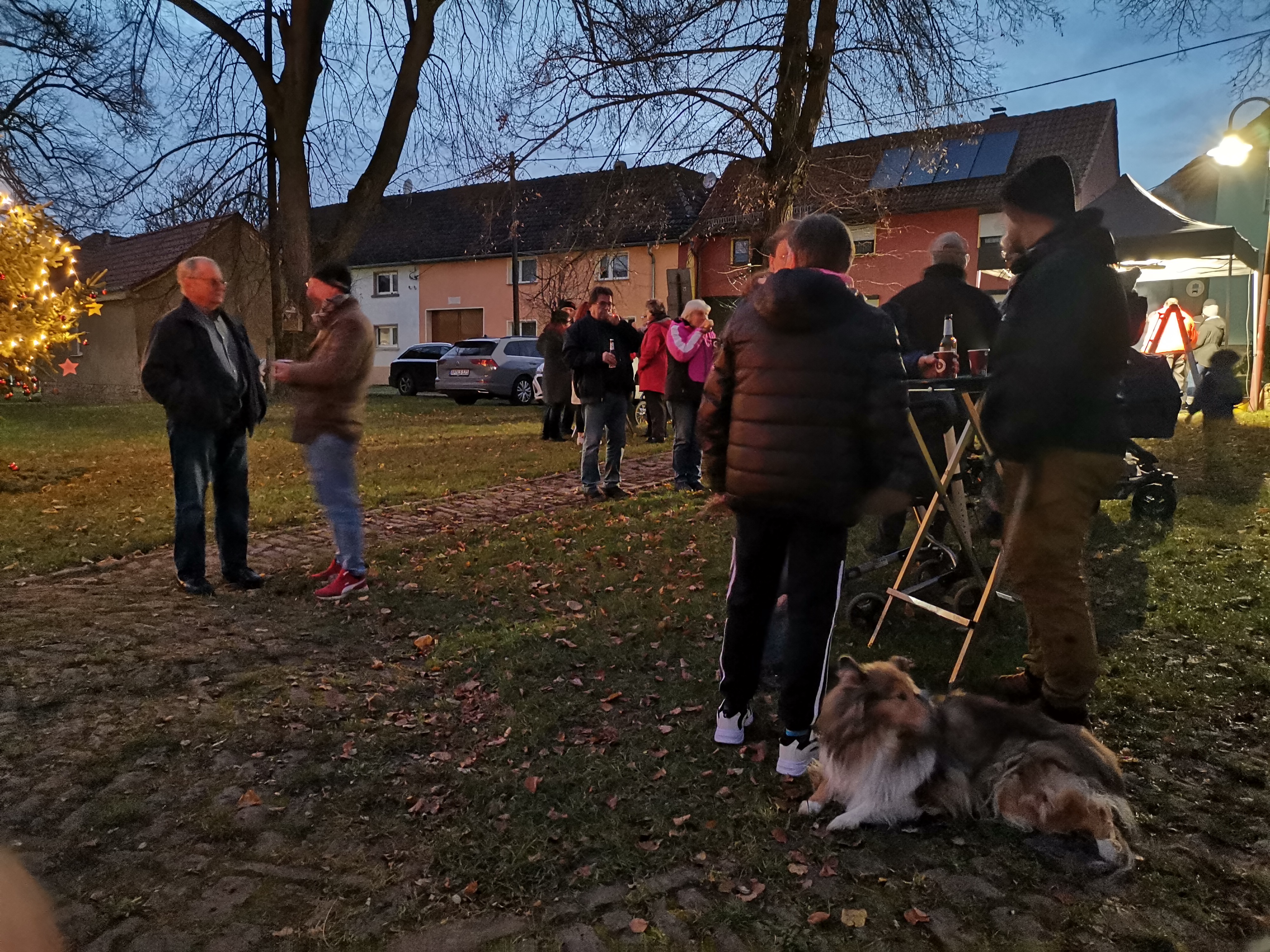 ./Weihnachtsbaumsetzen/IMG_20241129_165523.jpg