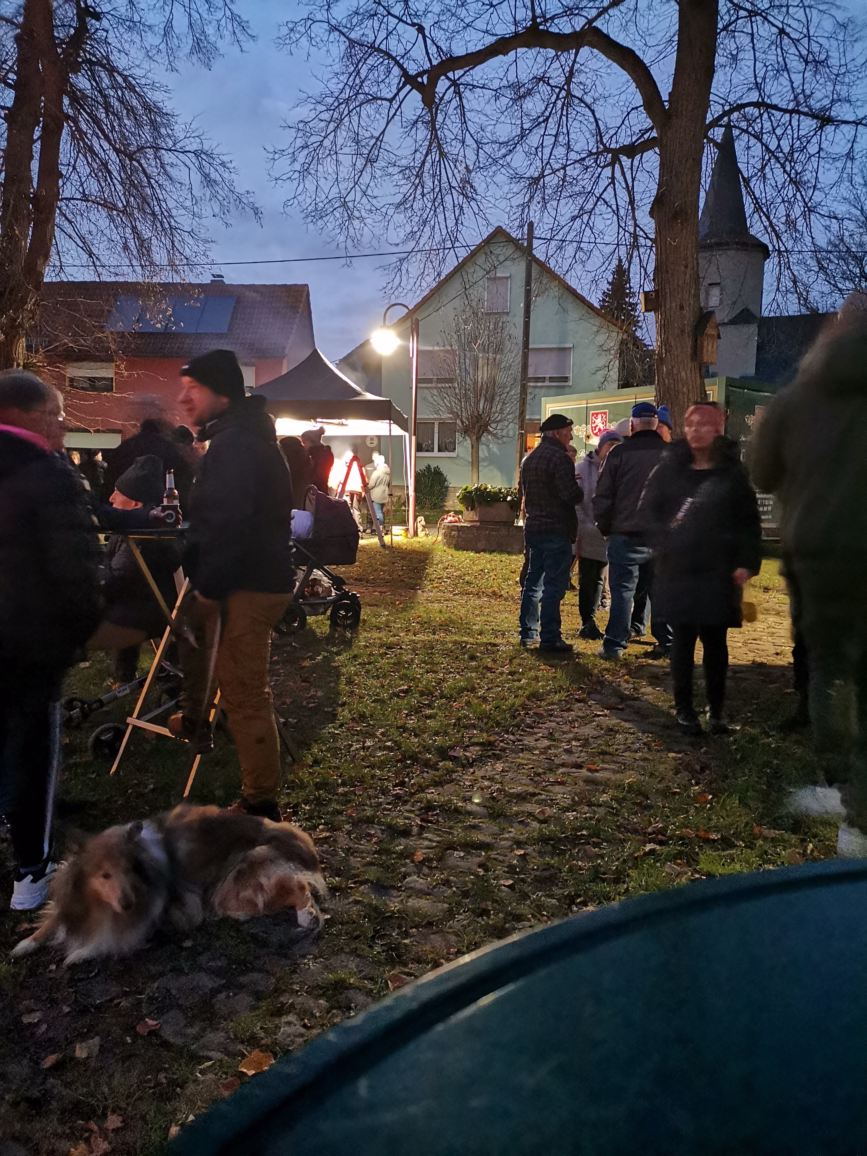 ./Weihnachtsbaumsetzen/IMG_20241129_165630.jpg