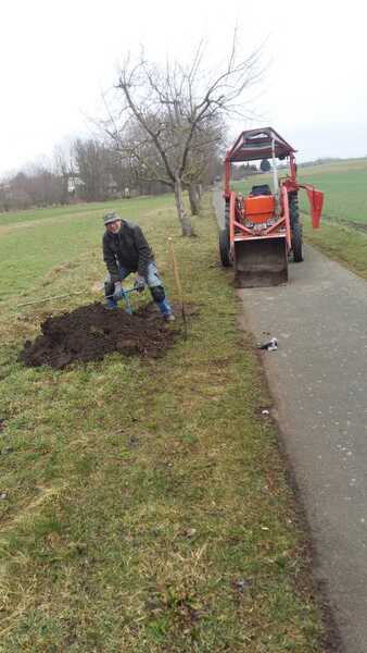 Obstbäume pflanzen März 2023 Radweg nach Markvippach in Vippachedelhausen Am Ettersberg