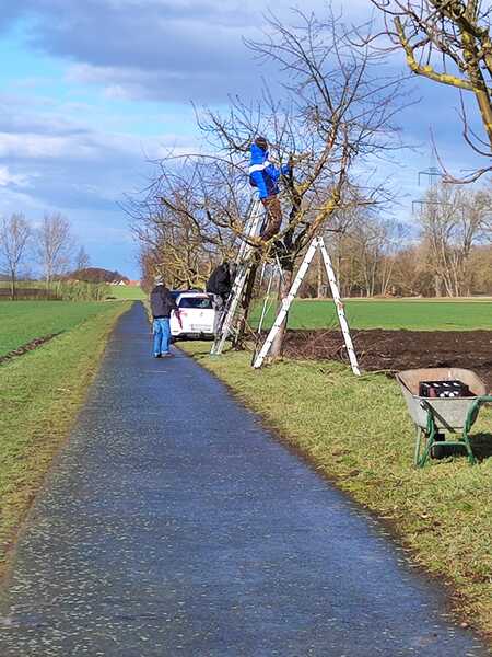 Obstbäume pflanzen März 2023 Radweg nach Markvippach in Vippachedelhausen Am Ettersberg