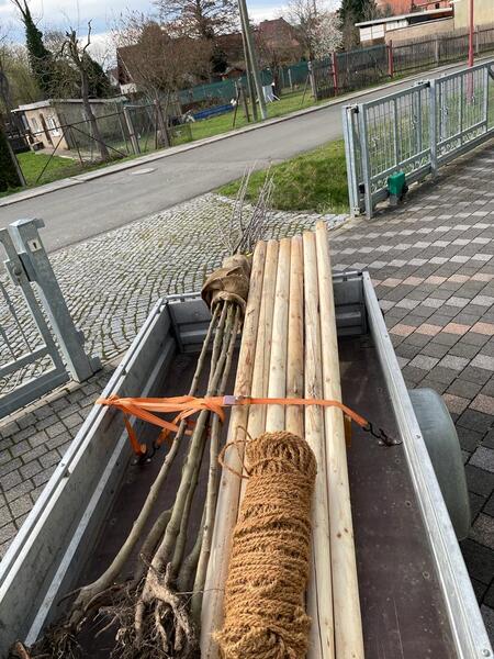 Obstbäume pflanzen März 2023 Radweg nach Markvippach in Vippachedelhausen Am Ettersberg