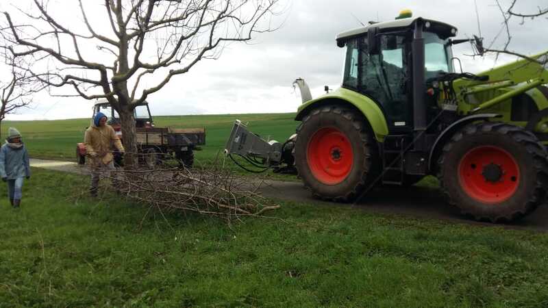 Bild mit Menschen die Reißig mit einem Hächsler an einem Traktor zerkleinern