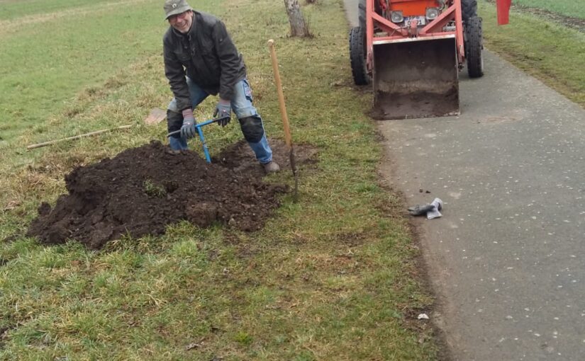 Obstbaumpflanzung mit dem Heimatverein