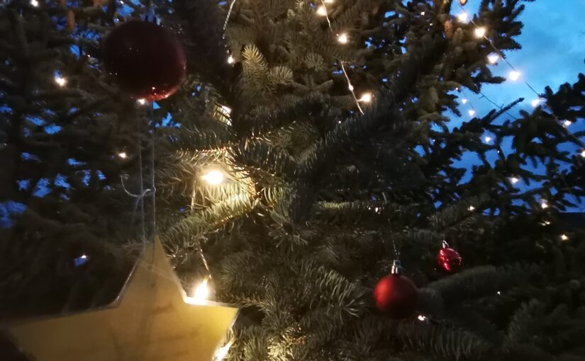 Einladung zum Weihnachtsbaumsetzen