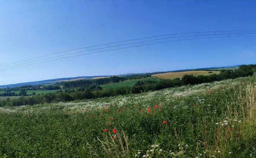 Wanderung mit Gunter Braniek